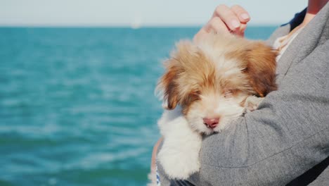 a woman is holding a puppy in her arms against the background of the sea