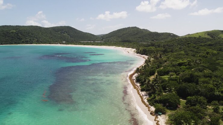 Ripresa aerea in avvicinamento con drone sull'isola di Culebra, Porto Rico: acqua blu e verde, alberi e spiaggia.