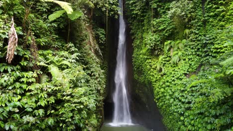 static aerial view of leke leke waterfall flowing in a lush green tropical jungle paradise of bali, indonesia