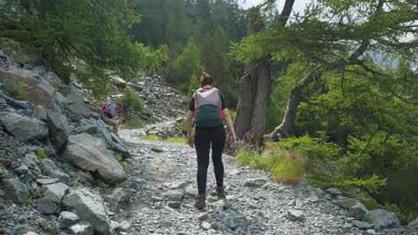 rocky pathway over mountain with hikers during summer