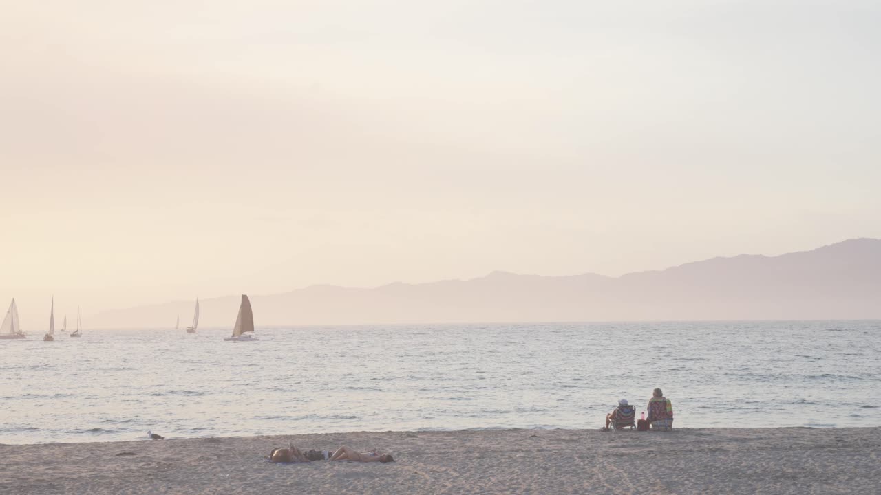로스 앤젤레스, 미국의 베니스 해변에 견인 커플
