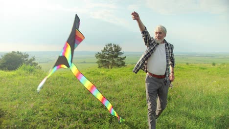 Kaukasischer-älterer-Mann,-Der-Mit-Seinen-Enkelkindern-Im-Park-Läuft,-Während-Sie-An-Einem-Sonnigen-Tag-Einen-Drachen-Steigen-Lassen