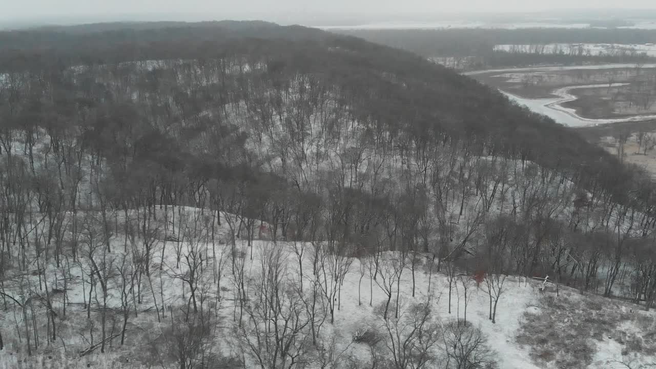 Snow Covered Forest Drone Aerial Hills Leafless Trees