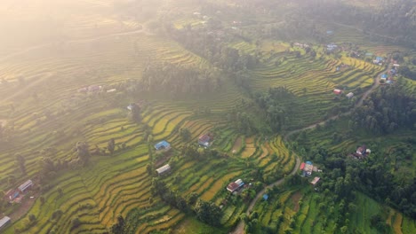 Campos-En-Terrazas-Vasto-Paisaje-Natural-De-Nepal