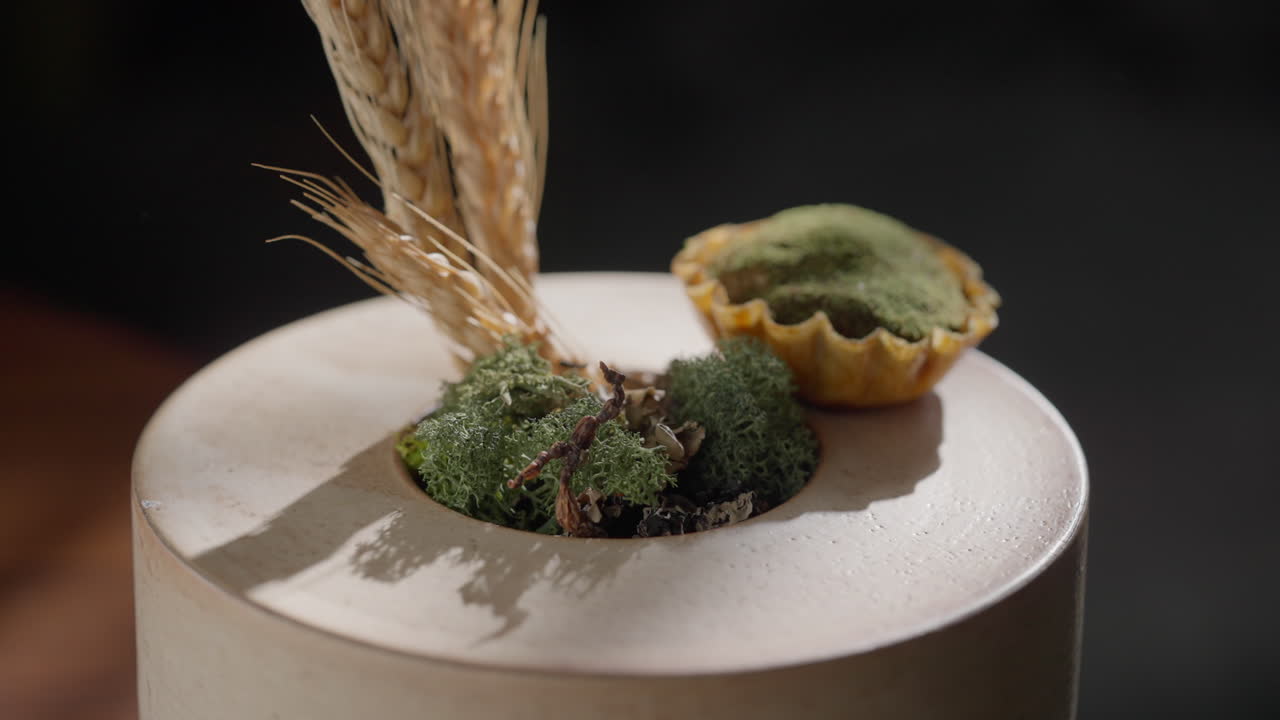 Artistic Dessert with Moss and Wheat