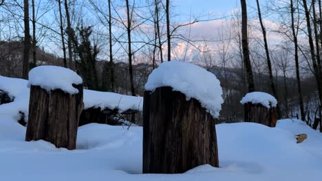 tree trunk covered by heavy snow in winter season wonderful landscape white scenic rural village countryside iran mountain forest nature cold frozen hills ice lodges panoramic peak sunlight valley