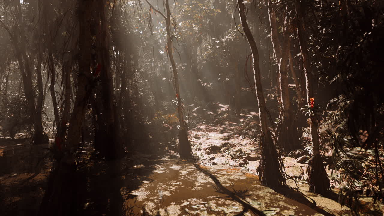 La luce del sole filtra tra gli alberi in una serena foresta durante il pomeriggio