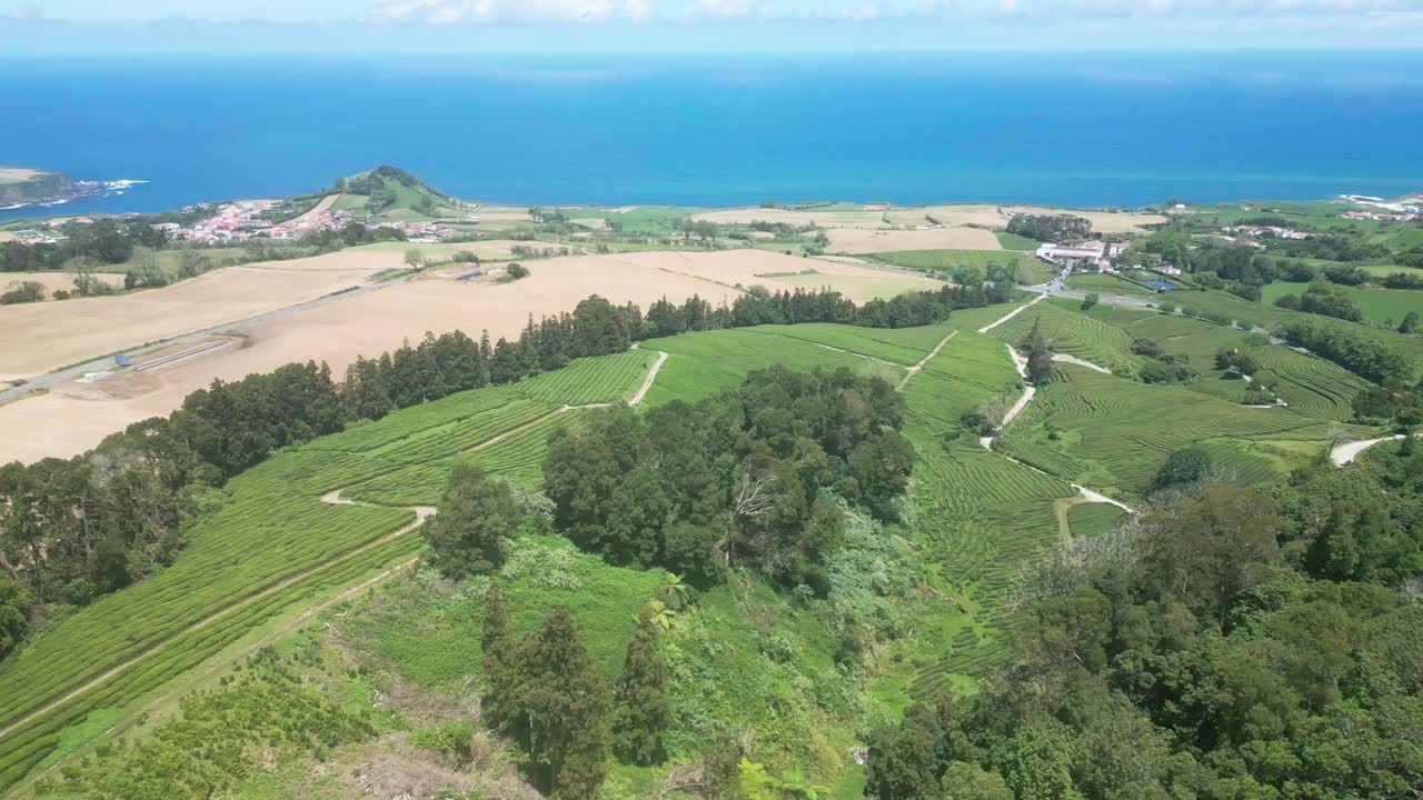 Aerial view of lush green tea plantations stretching towards the ocean and a coastal village