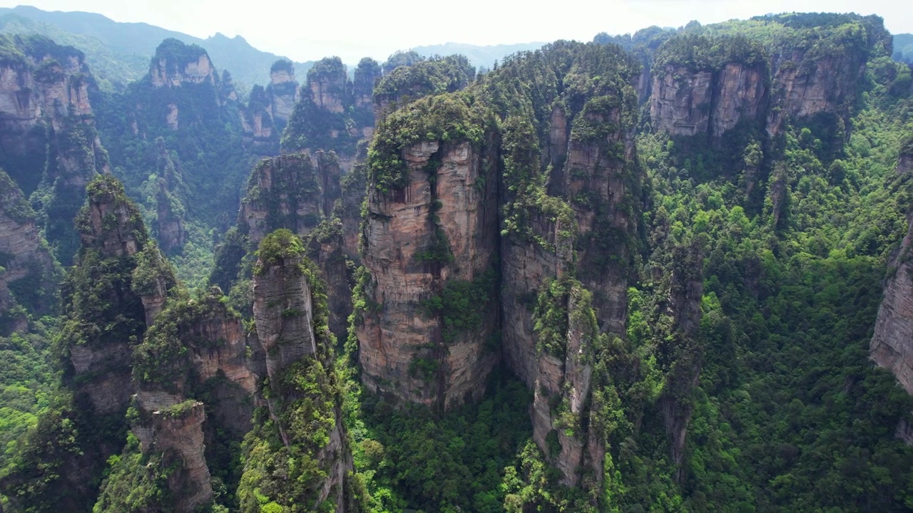 Ripresa aerea orbitale di fiorenti pilastri di arenaria quarzite nel Parco Nazionale di Zhangjiajie, Cina.