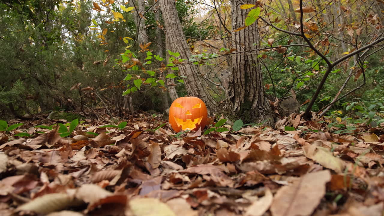 cara de calabaza sonriente de halloween brillando en el bosque de otoño