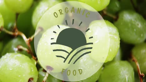 animation of organic food text over fresh grapes