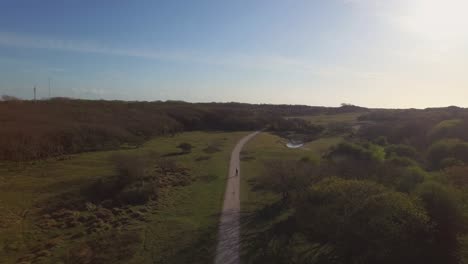 Aerial:-The-dune-nature-reserve-of-Oostkapelle-with-grazing-ponies