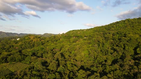 Endlose-Tropische-Flora-Im-Warmen-Licht-Der-Tiefstehenden-Abendsonne-In-Den-Küstenregionen-Mittelamerikas