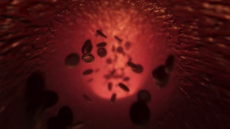 blood cell circulation – medical vfx