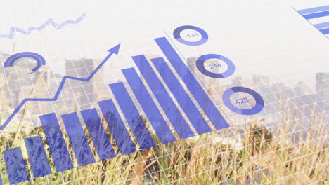 animatie van de verwerking van financiële gegevens over het landschap