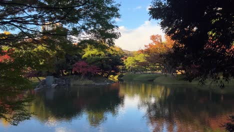 massive pond inside japanese landscape garden with vibrant fall colors