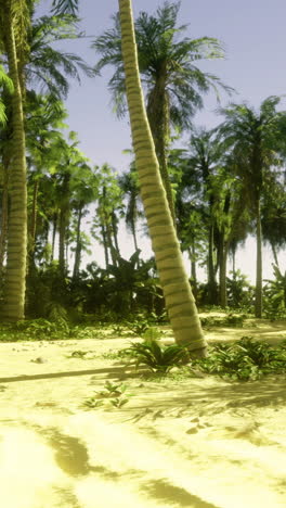 lush tropical landscape with palm trees under clear sky at beach