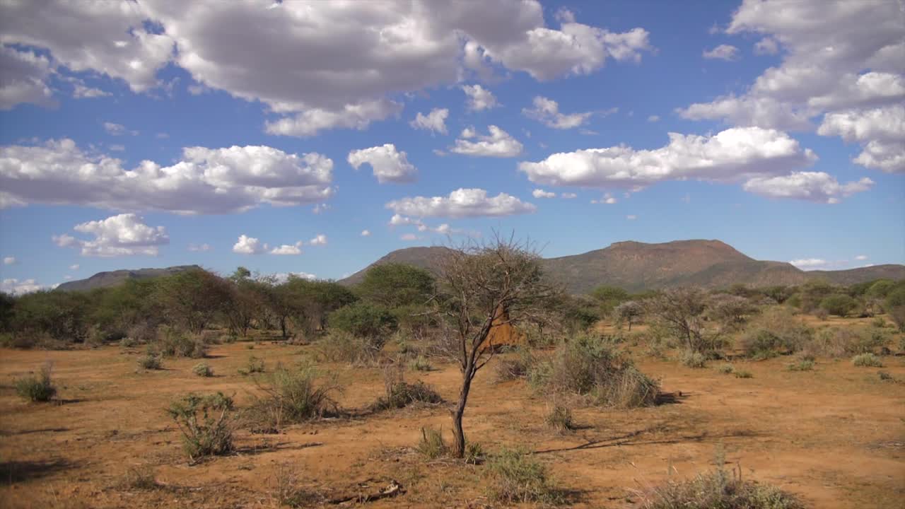 el video de la sabana fuera del coche