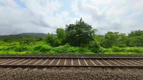 Vista-De-Timelapses-Del-Bosque-Verde-Desde-La-Vía-Del-Tren