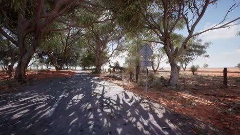 country road in the outback