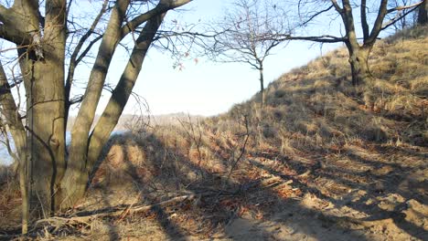 Flying-across-the-path-to-the-man-made-lake-at-Dune-Harbor