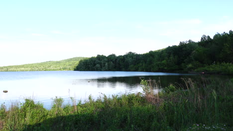 relaxing by a lake on a beautiful evening in the summer