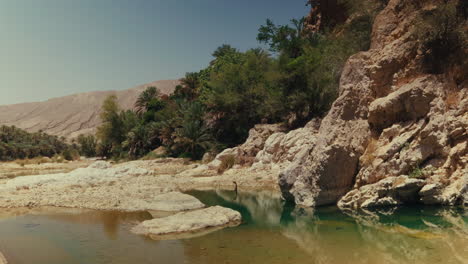 oasis in the omani desert