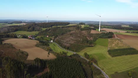 fliegen über einen deutschen wald mit toten bäumen, beschädigt von rindenkäfern im sauerland