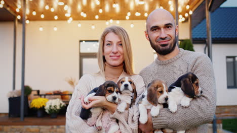 young caucasian couple stands against the background of their house, holding many beagle puppies in their hands. 4k video