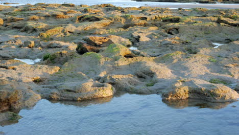 rock pools on an australian beach