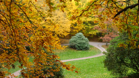 árboles-En-El-Parque-Forestal-De-Otoño