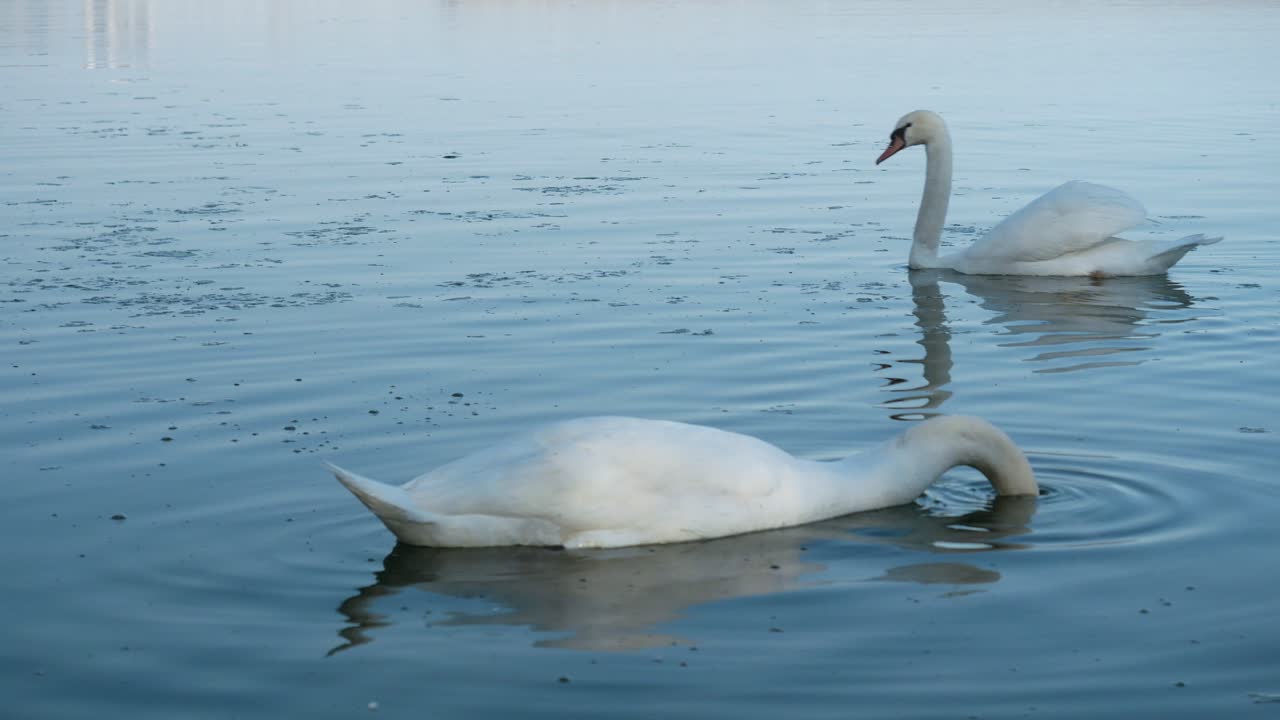canada lake ontario summer water lakeshore toronto etobicoke water humber