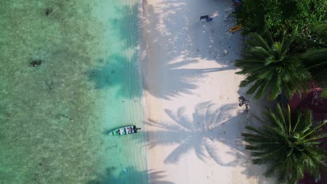 Empty-beach-with-palm-tree-shadow-in-the-morning