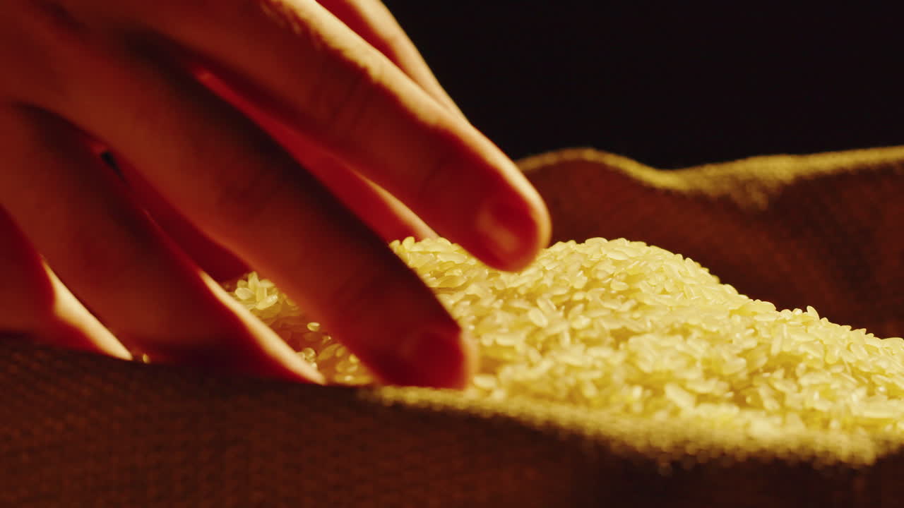 A hand sifting and pouring raw rice grains into a burlap sack, highlighting the texture and abundance of the cereal