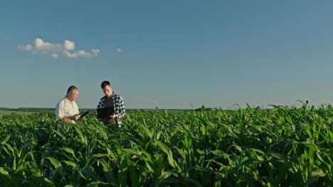 farmers inspecting cornfield with technology