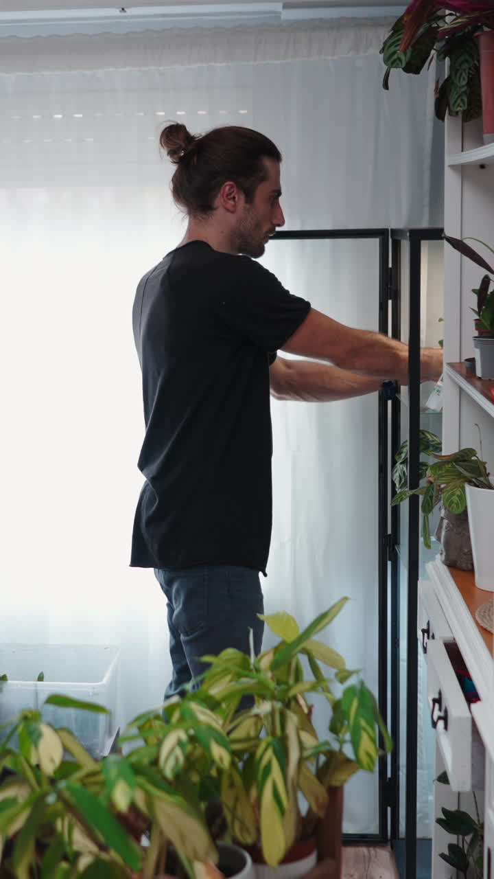 Un uomo sistema delle piante su uno scaffale