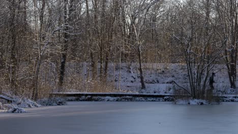 Ein-Fitter-Mann,-Der-Eine-Gefrorene-Joggingpfadbrücke-über-Den-Zugefrorenen-Teich-Des-Stadtparks-Hinunterläuft