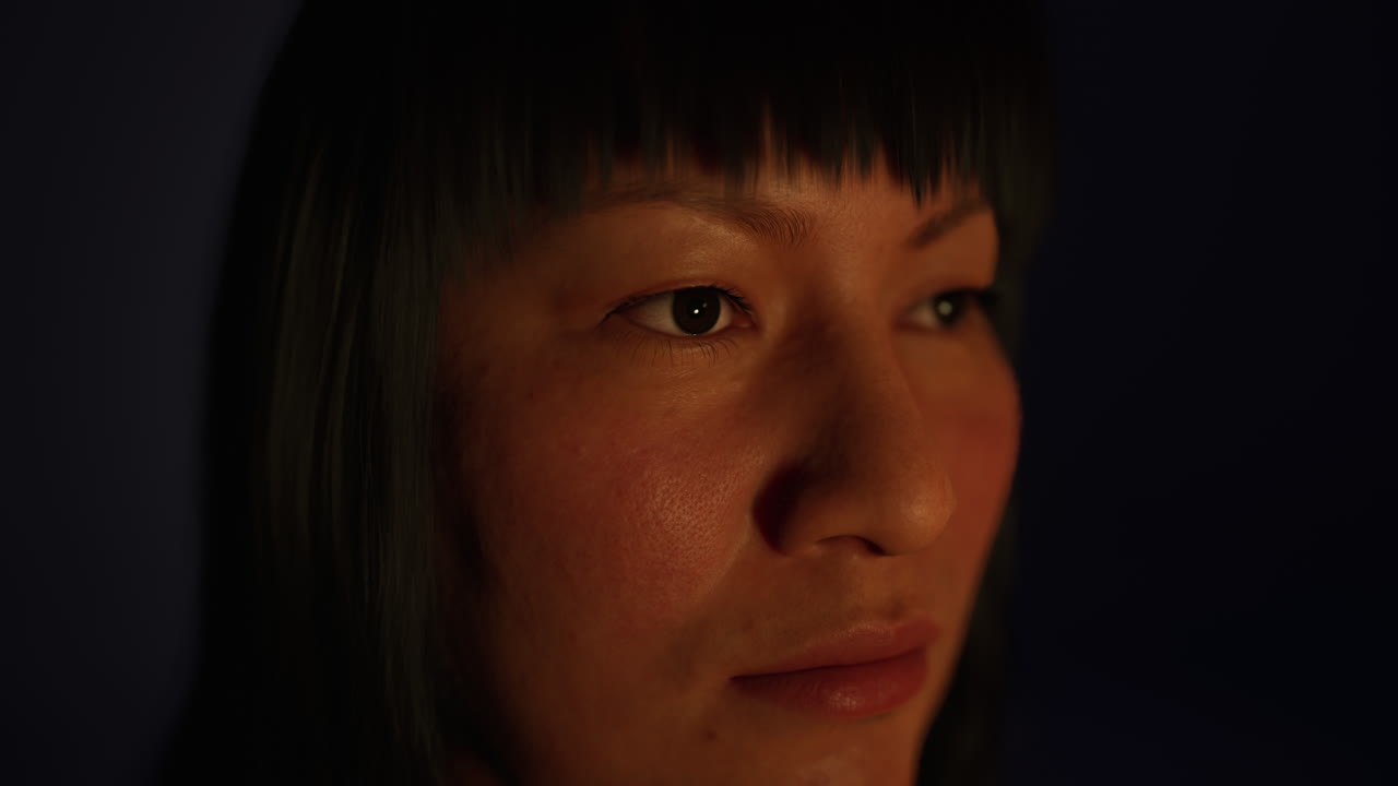 어 ⁇  속의 성인 멕시코 여성 초상화