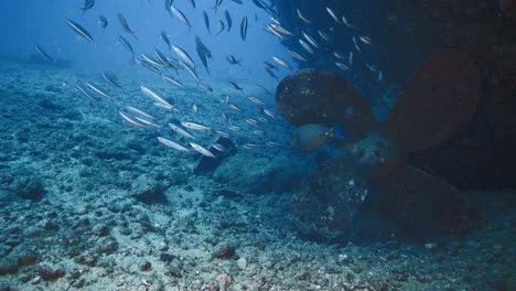 Amazing-underwater-view-of-a-shipwreck's-propeller-on-the-sea-floor