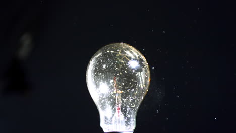 bulb being crushed by a shot