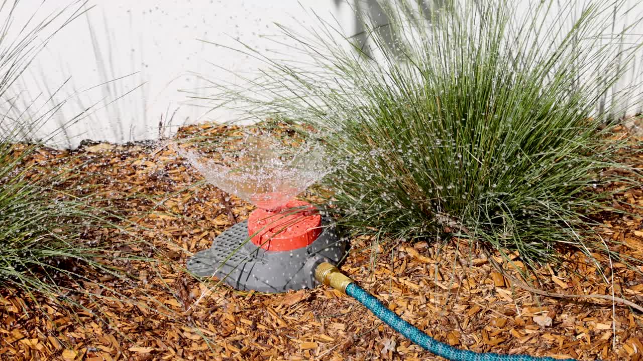 Sprinkler watering plants in a garden bed