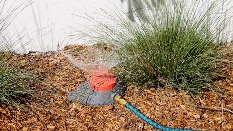 sprinkler watering plants in a garden bed