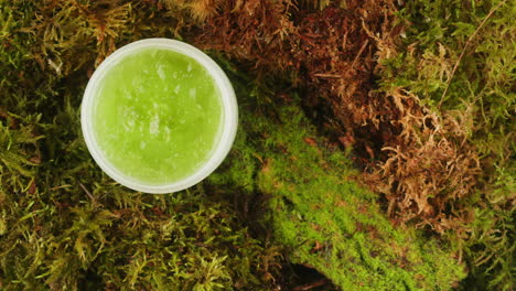 bottle of cosmetics cream serum on moss forest background green leaves. woman make up healthy natural products.