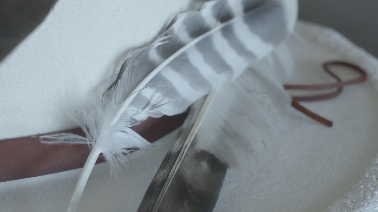 vista cercana de plumas de rayas blancas y grises en sombrero blanco con envoltura de cuero