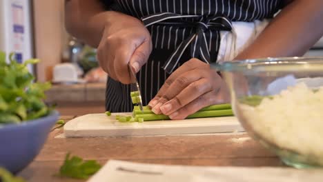 chopping fresh organic celery for a homemade recipe - side view in slow motion