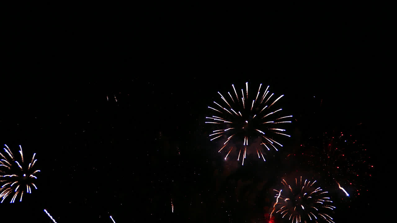 Beautiful celebration abstract colorful firework display at night background