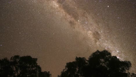 la galaxia de la vía láctea visible por encima de las siluetas de los árboles