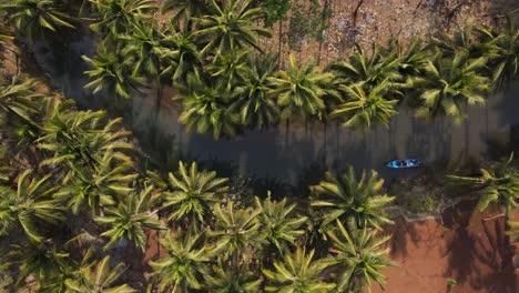 aerial-view-of-blue-boats-running-on-the-Cokel-river,-Pacitan,-Indonesia