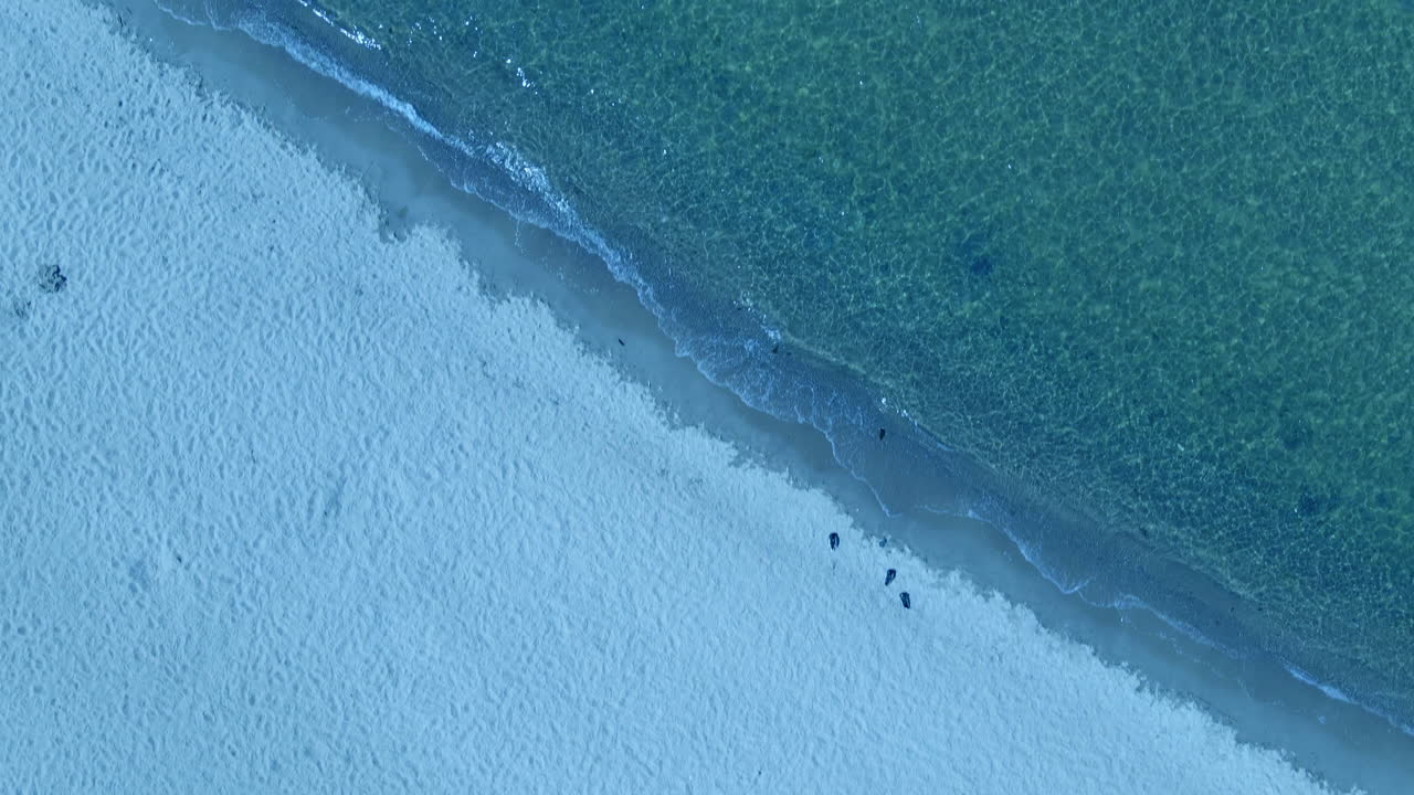 Top down aerial view from empty beach and clear sea water, nobody on coast in Puck in Poland