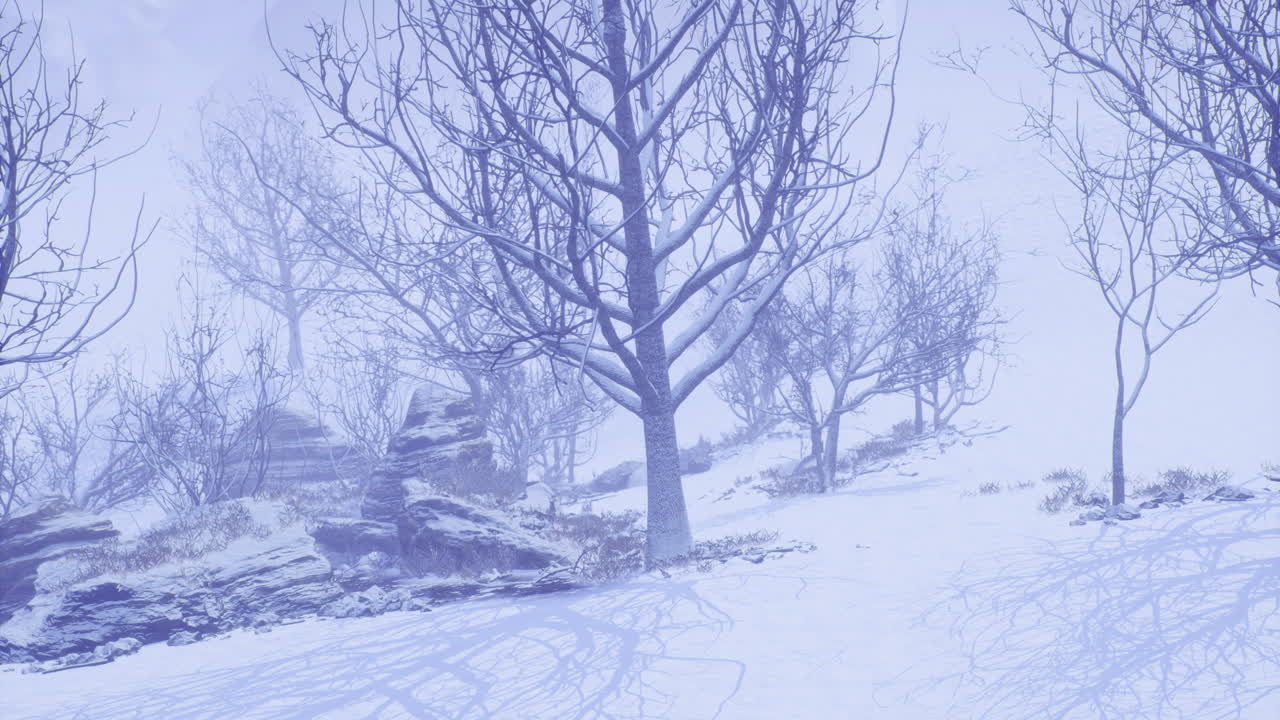 Snowy winter landscape with bare trees in a quiet mountainous area